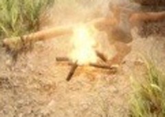 森林之子怎么生火 烤肉方法介绍