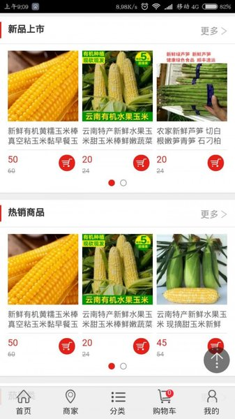 中国蔬菜网图片3