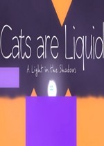 猫是液体：阴影中的光