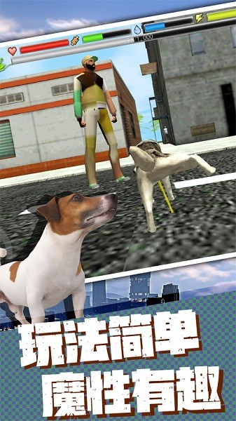 流浪狗生存模拟器图片2