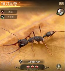 小小蚁国九游版游戏图片4