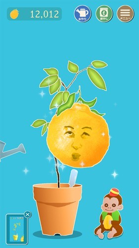 长脸的树1