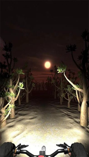 夜骑模拟器游戏图片2