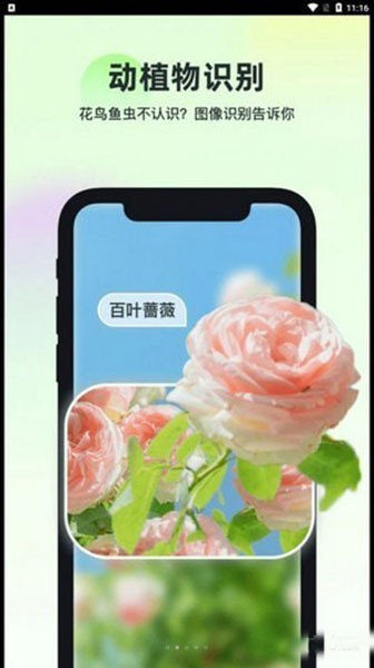 安卓智能识万物 最新版app