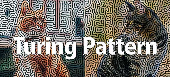 Turing Pattern