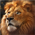 野兽领主新世界 (Beast Lord)2024最新版v1.0.36免费版