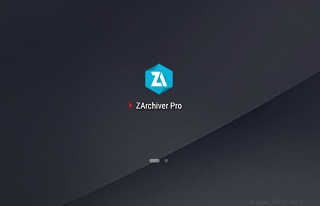 ZArchiver Pro图片2