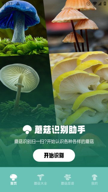 安卓蘑菇识别助手 安卓最新版app