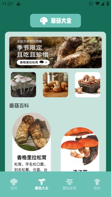 蘑菇识别助手 安卓最新版下载