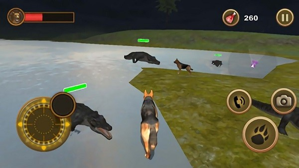 动物生存模拟器之狗游戏画面2