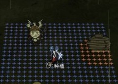 饥荒蜜蜂怎么抓