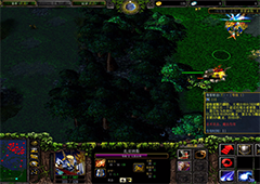 dota秘籍大全 dota秘籍怎么用