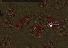 血腥大地秘籍+使用方法