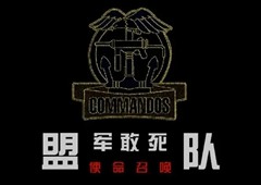 盟军敢死队使命召唤密码和跳关秘籍