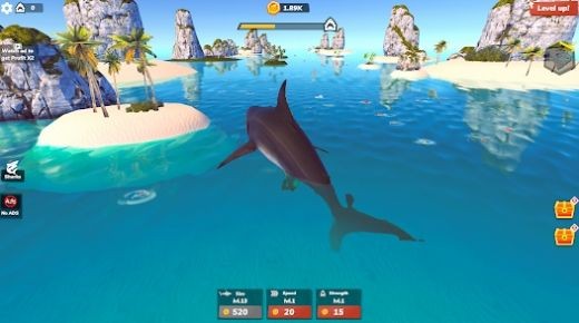 鲨鱼世界大亨22