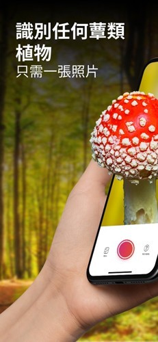 蘑菇识别扫一扫app5