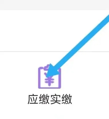 青海税务app图片11