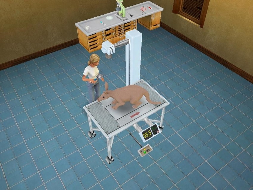 宠物兽医3D：野生动物医院