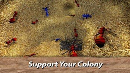 蚂蚁模拟器地下蚁国2手机版2
