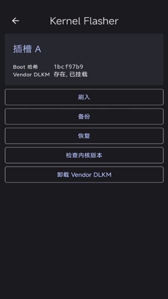 Kernel Flasher魔改版截图3