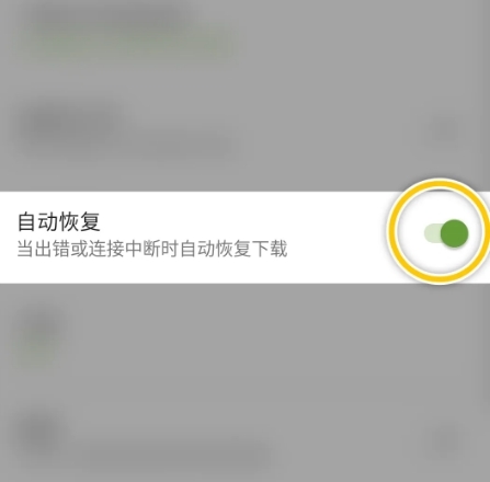 Advanced Download Manager图片12