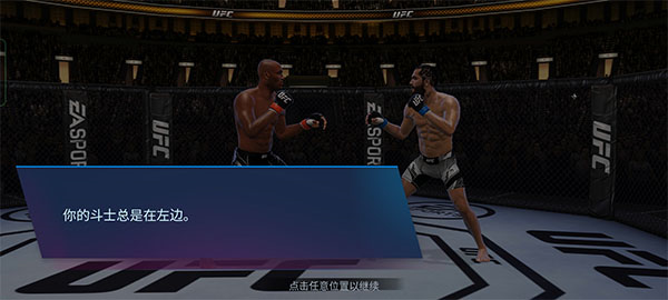 EA SPORTS UFC29