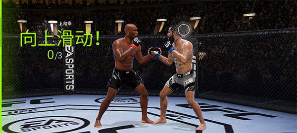 EA SPORTS UFC213
