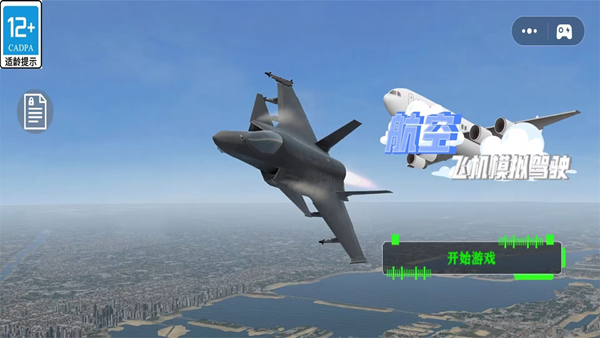 航空飞机模拟驾驶1