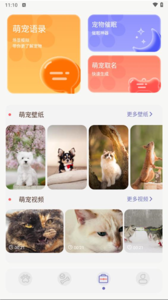 猫咪聊天翻译器app图片