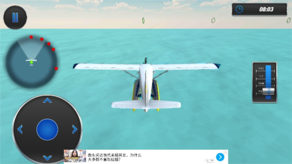 海平面飞行模拟器4