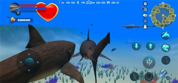 巨齿鲨模拟器图7