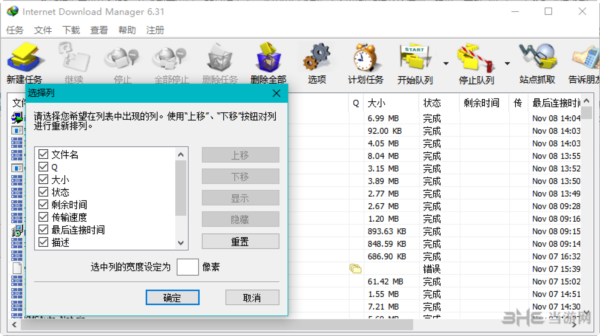 Internet Download Manager中文破解版图片4