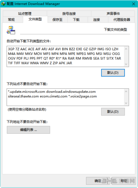 Internet Download Manager中文破解版图片6