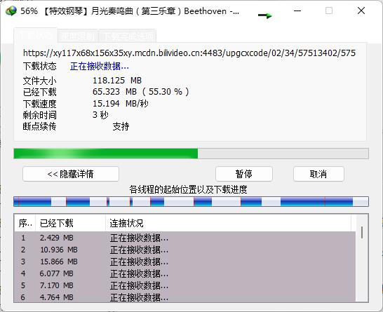 Internet Download Manager中文破解版图片20