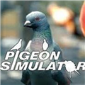 鸽子模拟游戏图标