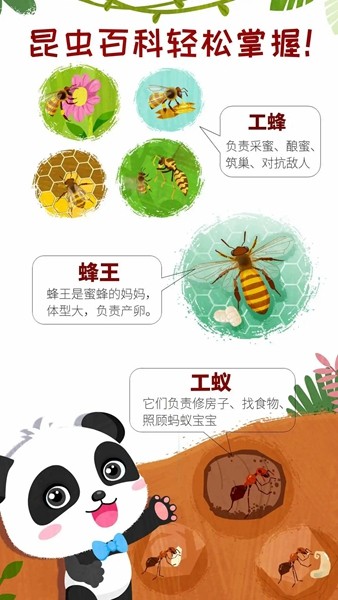 奇妙昆虫世界宝宝巴士截图2