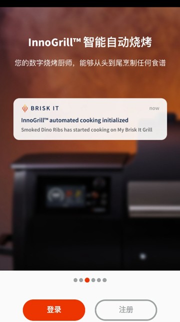 Brisk It Grills截图2