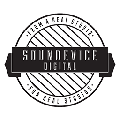 Soundevice Digital FrontDAW(编曲音频插件)