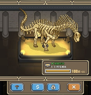 我与化石博物馆6