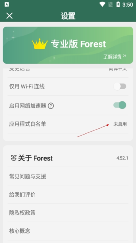 Forest图片4