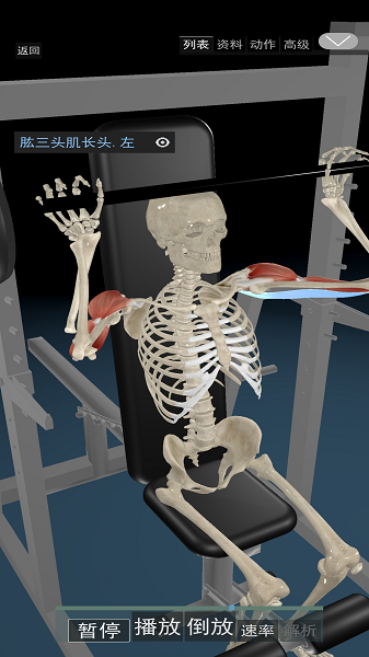 3D运动解剖图片