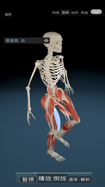 3D运动解剖截图3