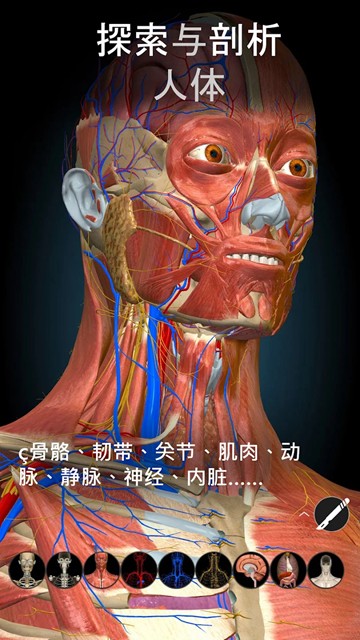 Anatomy Learning 3D 解剖学图片1