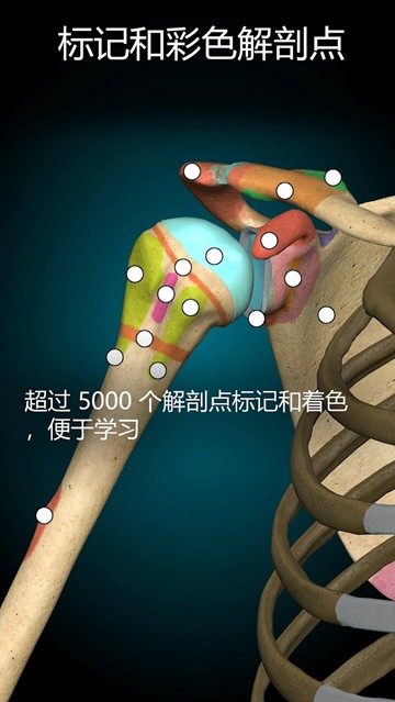Anatomy Learning 3D 解剖学图片2