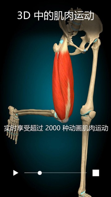 Anatomy Learning 3D 解剖学图片4