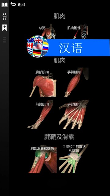 3D解剖学Anatomy Learning完整版截图1