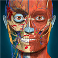 Anatomy Learning 3D 解剖学