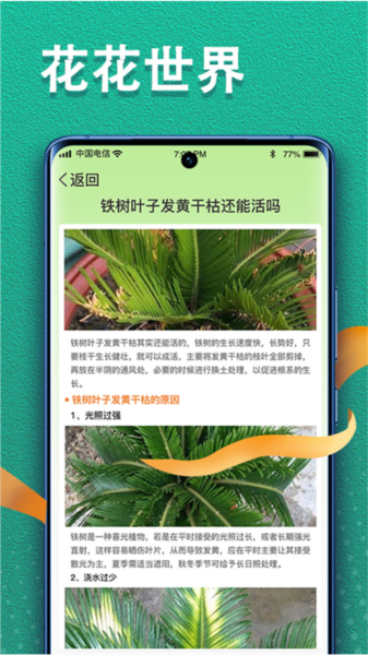 植物视界截图2