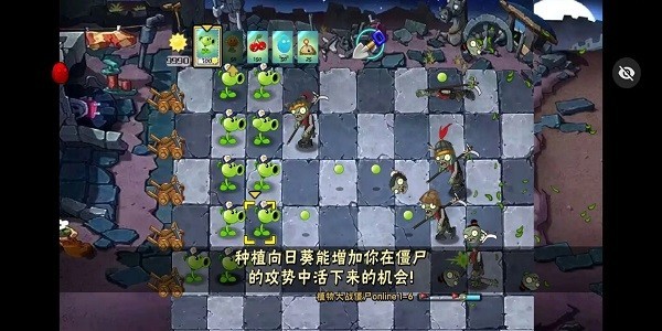 植物大战僵尸秦始皇陵2