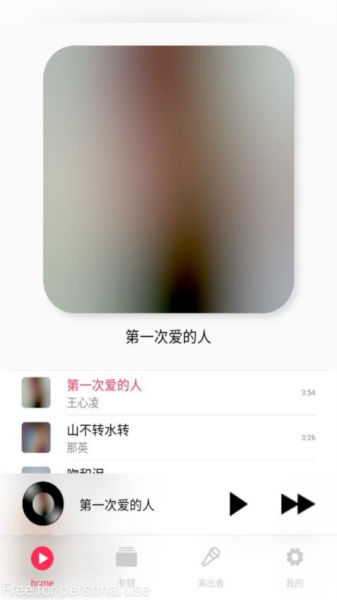 DS Music+免费版截图3